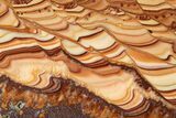 Polished Slab Of Rolling Hills Dolomite - Mexico #324427-1